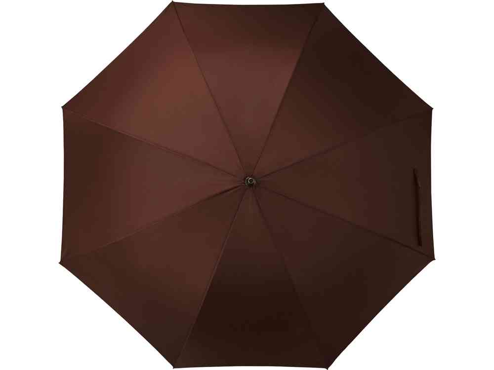 Зонт-трость Алтуна - 2