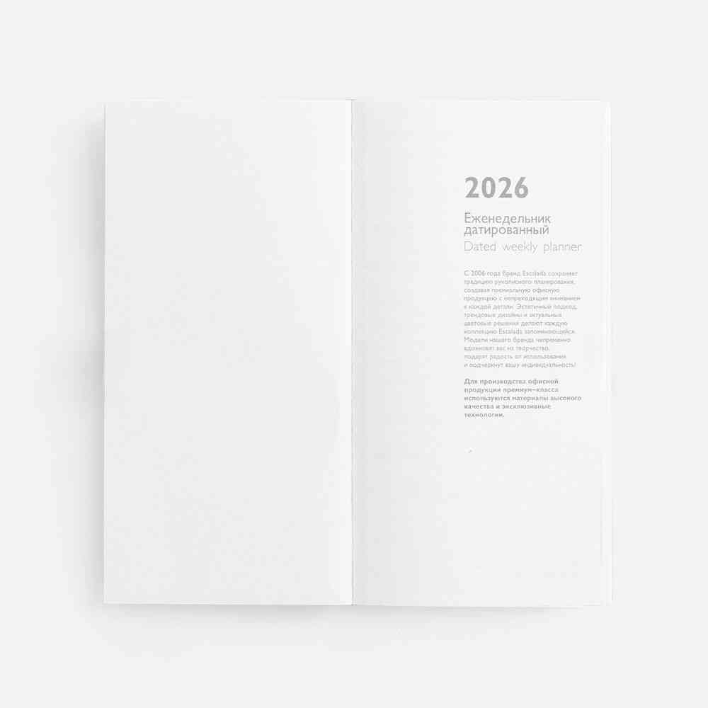 Еженедельник Baza, датированный, серый - 7