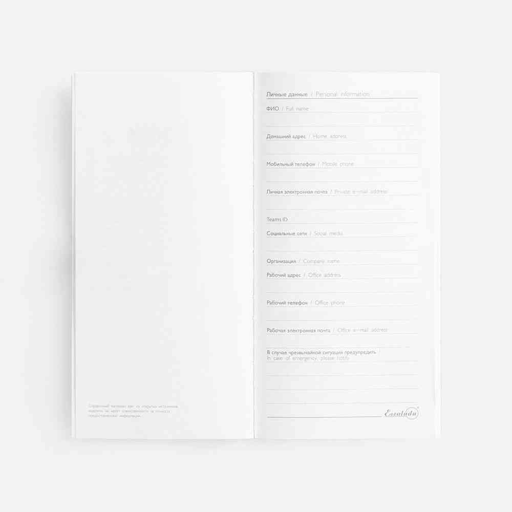 Еженедельник Baza, датированный, серый - 8